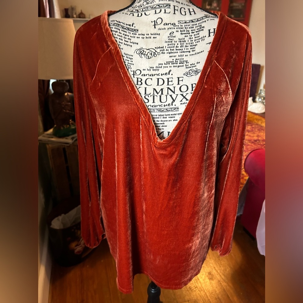 Dylan Rust Velvet Tunic